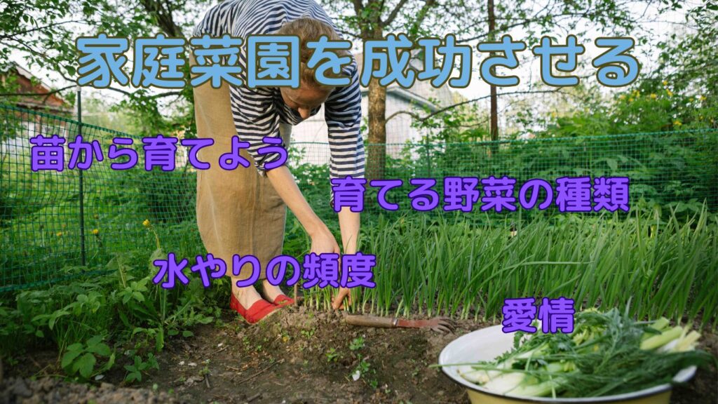 日陰で作るときの気になる条件